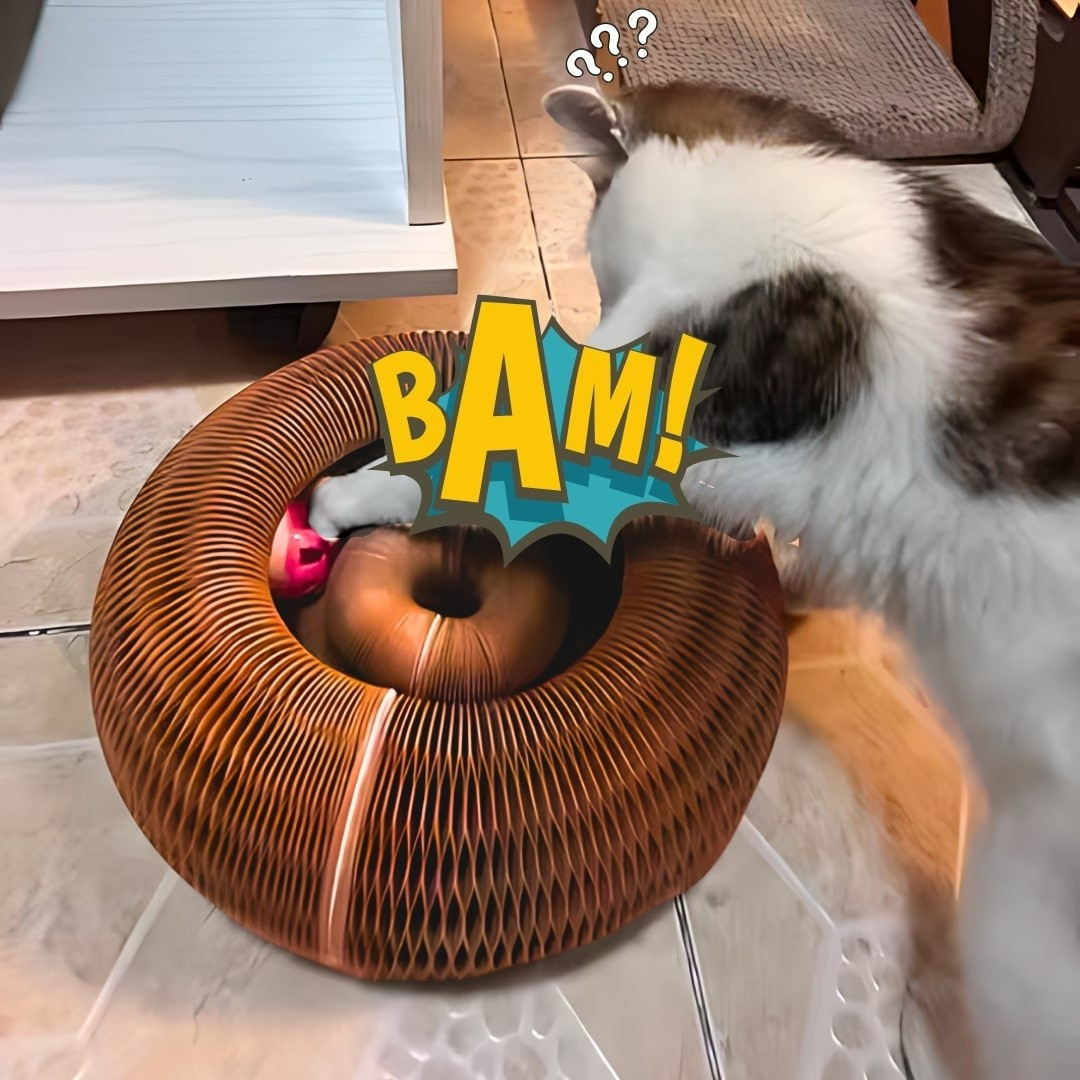 MeowMotion™ - The Ultimate All-in-One Cat Toy